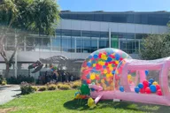 San Francisco Silicon Valley Private Tour 6 hr thumbnail 5