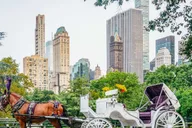 New York City Central Park Horse Carriage Ride thumbnail 1