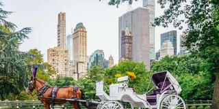 New York City Central Park Horse Carriage Ride