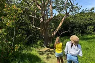 Maui Road to Hana Tour thumbnail 3