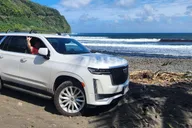 Maui Road to Hana Private Tour thumbnail 1