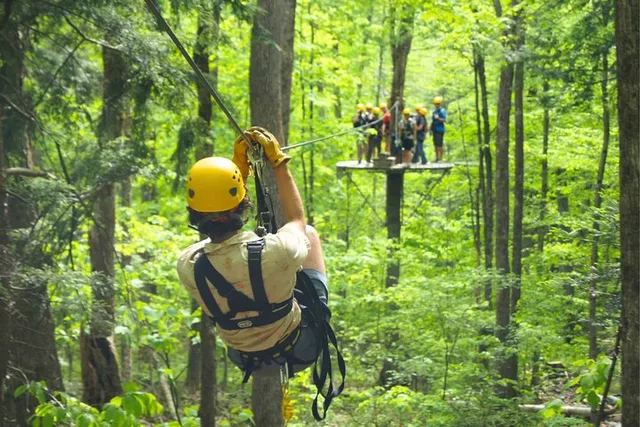 Camano Island Zipline and Deception Pass Tour - Image 2