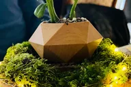 San Francisco Floating Terrarium Workshop thumbnail 1