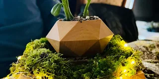 San Francisco Floating Terrarium Workshop