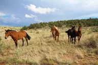 Sedona Private Custom Tour thumbnail 5