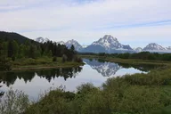 Grand Teton National Park Wildlife Tour thumbnail 4