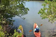 Miami Oleta River State Park Eco Paddle Tour 2 hr thumbnail 2
