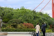 San Francisco Golden Gate Bridge Bike Tour thumbnail 3