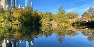 New York Central Park Selfie Tour with Photographer