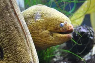Santa Monica Aquarium Experience thumbnail 1