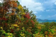 Pigeon Forge Smoky Mountains Jeep Tour thumbnail 6