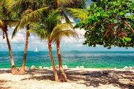 Miami Key West Small Group Tour 12 hr thumbnail 2