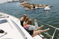 San Diego Sailing Excursion Afternoon 3 Hr thumbnail 5