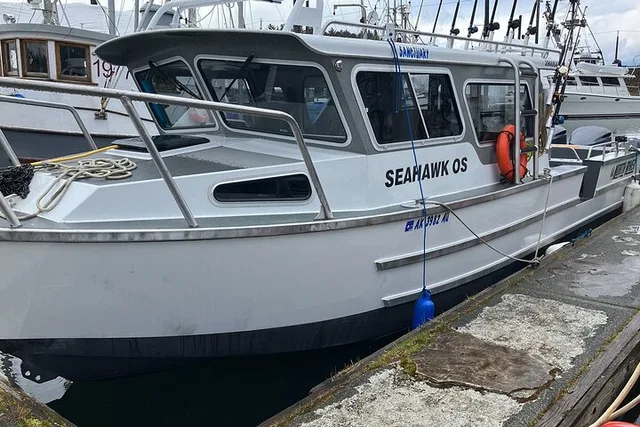 Hoonah Whale Watching and Fishing Tour - Image 6