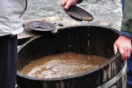 Juneau Gold Mining and Panning Adventure thumbnail 5