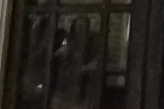 New Orleans Ghost Tour with Paranormal Equipment - Image 4