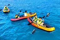 Waikiki Turtle Snorkeling Tour thumbnail 3