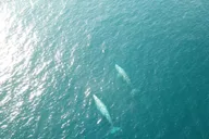 San Diego Private Sailing Tour thumbnail 6