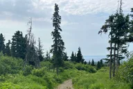 Anchorage Chugach State Park Nature Walk thumbnail 6