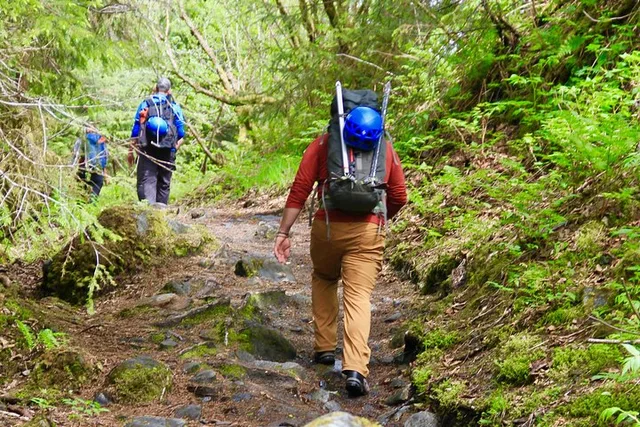 Juneau Mendenhall Glacier Guided Hike - Image 4