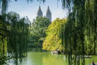 New York Central Park Carriage Ride thumbnail 5
