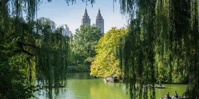 New York Central Park Carriage Ride - Image 5