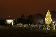 Washington, DC Holiday Lights Night Bus Tour thumbnail 3
