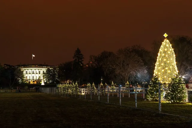 Washington, DC Holiday Lights Night Bus Tour - Image 3