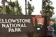Yellowstone Lower Loop Day Trip from Jackson thumbnail 3