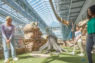 Bloomington Mini Golf Adventure at Moose Mountain 1 hr thumbnail 6