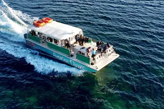 Key Largo Scuba Dive for Certified Divers 4 hr