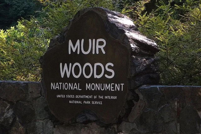San Francisco Muir Woods, Sausalito, and Tiburon Day Trip - Image 6