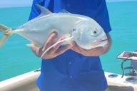 Key West Fishing and Sandbar Boat Excursion thumbnail 6