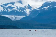 Juneau Kayak Adventure with Whales thumbnail 2