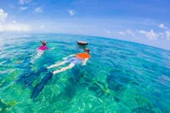 Miami to Key West Day Trip with Activity Options thumbnail 4