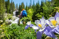 Breckenridge Scenic Hike Half-Day thumbnail 1