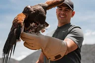 Reno Falconry Experience thumbnail 2
