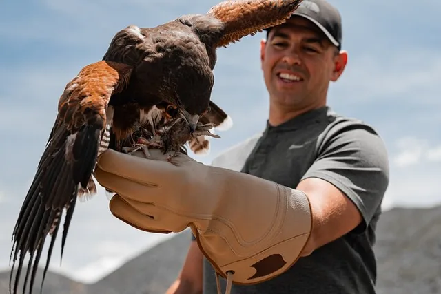 Reno Falconry Experience - Image 2