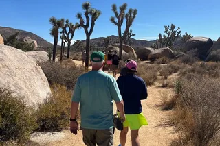 Joshua Tree National Park Sightseeing Tour