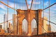 New York City Car Tour with Liberty Island thumbnail 3