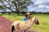 Pahoa Ranch Tour with Animal Encounters thumbnail 3