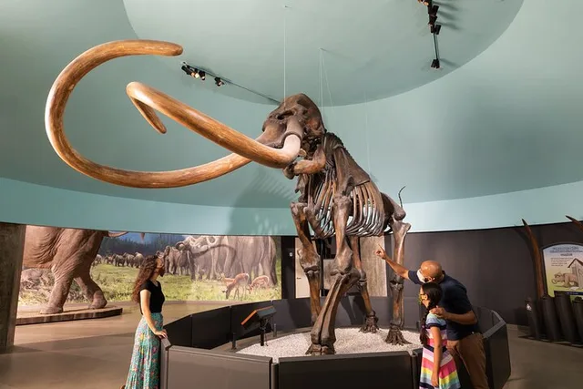 Los Angeles La Brea Tar Pits Excavator Tour 2 hr - Image 1