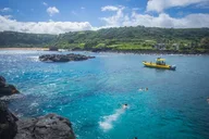 Oahu Snorkeling Tour in North Shore thumbnail 2