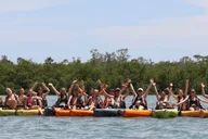 Naples Marco Island Mangroves Kayak Tour thumbnail 5