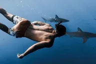 Oahu Shark Dive thumbnail 1