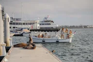 Marina Del Rey E-Boat Cruise with Wine and Charcuterie thumbnail 1