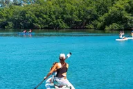 Miami Paddle Board or Kayak Rental thumbnail 2