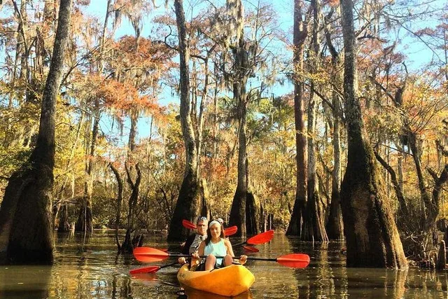 Manchac Swamp Kayak Tour with Pickup 4 hr - Image 4