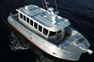 Juneau Whale Watching Tour 3.5 Hours thumbnail 1