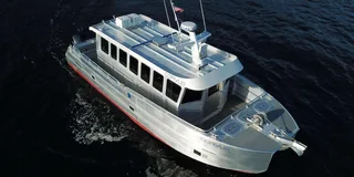 Juneau Whale Watching Tour 3.5 Hours